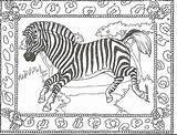 Zebra Coloring Pages Kids Printable Adult Head Print Animal Zebras Color Colouring Sheets Boom Rhythm Getcolorings Animals Band Coloringhome sketch template