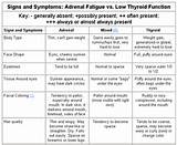 Pictures of Underactive Thyroid And Adrenals