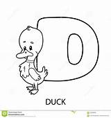 Coloring Alphabet Duck Illustration Cartoon Vector Preview sketch template