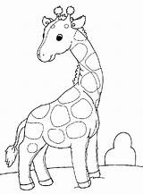 Giraffe Kids Coloring Pages Drawing Funny Small Printable Tailed Hawk Red Tail Colouring Drawings Giraffes Getdrawings Draw Getcolorings Top Color sketch template
