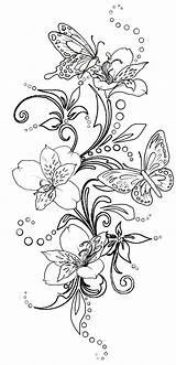 Butterfly Coloring Tattoo Flowers Pages Butterflies Flower Drawing Swirl Metacharis Tattoos Adult Line Adults Deviantart Drawings Papillon Color Fleur Coloriage sketch template
