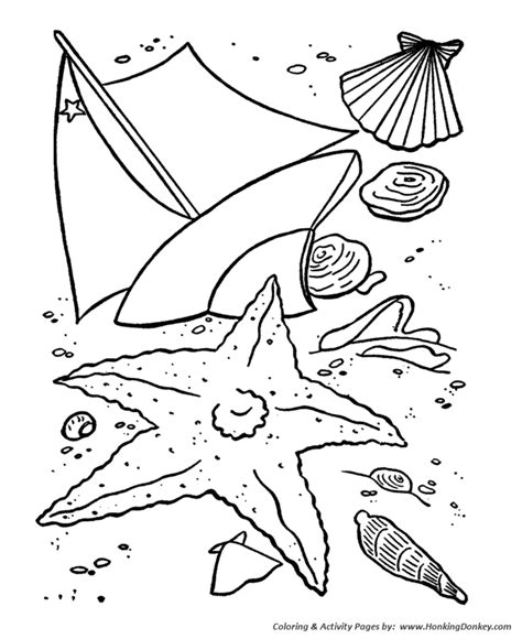 summer coloring summer sea shells coloring page sheets honkingdonkey