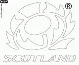 Rugby Coloring Scottish Emblem Team sketch template