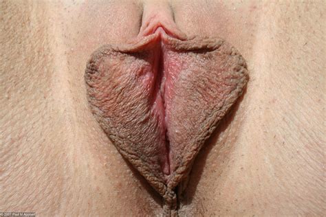large labia honey my top 10 picture 1 uploaded by paulmapphart on