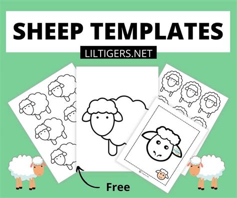 sheep cut  template sheep template vrogueco