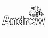 Andrew sketch template