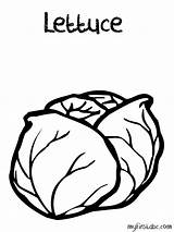 Lettuce Coloring Drawing Popular Getdrawings sketch template