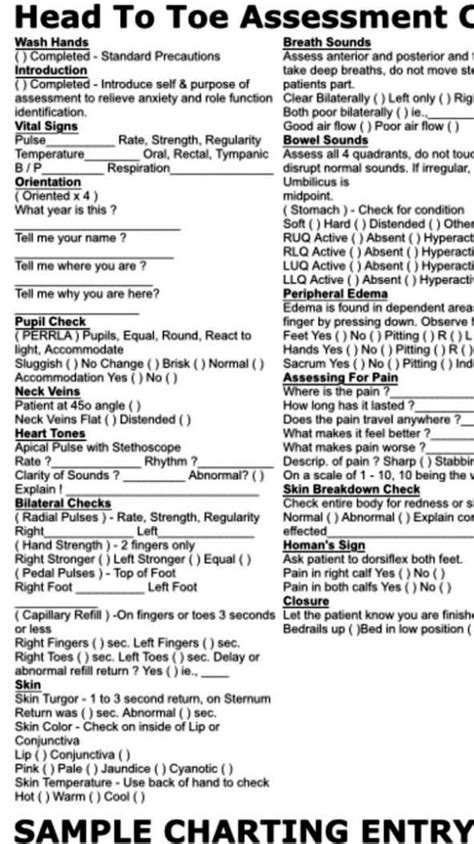 Head To Toe Nursing Assessment Template Sampletemplatess