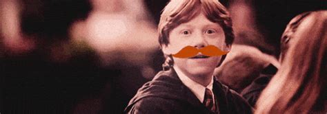 harry potter mustaches find and share on giphy