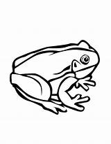 Frog Outline Tree Coloring Pages Clipart Printable Outlines Cliparts Panda Library Drawing Kids Clipartmag Clip Tattoo Frogs True Collection Visit sketch template