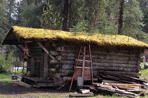 stay    night alaska alaska cabin cabins  cottages cabin living
