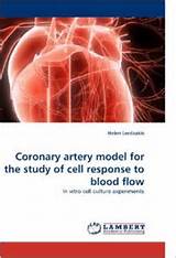 Coronary Artery Model Photos