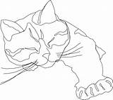 Coloring Cat Pages Drawing Line sketch template
