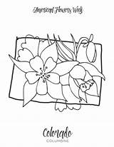 Coloring Pages State Flowers Pdf American California Poppy States Week sketch template