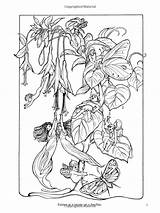 Coloring Pages Adult Book Fairy Doyle Richard sketch template