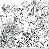 Coloring Pages Rainforest Printable Forest Print Plants Complex Complicated Kids Colouring Sheets Cool Color Adults Flower Getcolorings Really Surprise Miracle sketch template