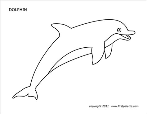 dolphin  printable templates coloring pages firstpalettecom