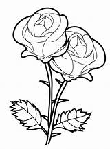 Rosas Dessiner Imprimer Colorer Mejor 1001 sketch template