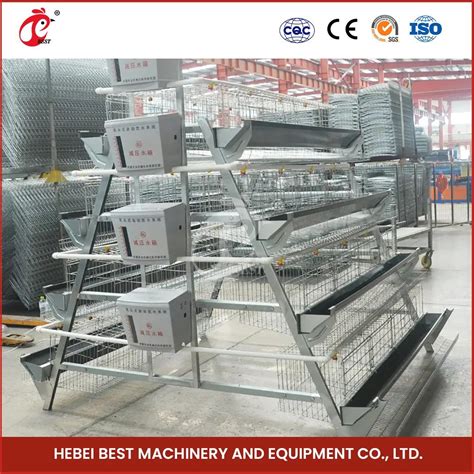 Bestchickencage Ordinary Type Layer Cage China Broiler Chicken Layer