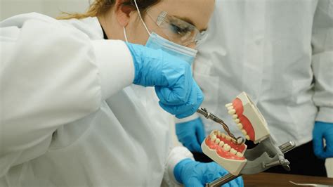 dental student training  teeth midwest technical institute