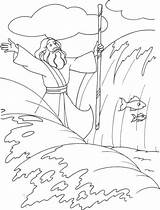 Moses Parting Crossing Exodus Moise Preschool Quail sketch template