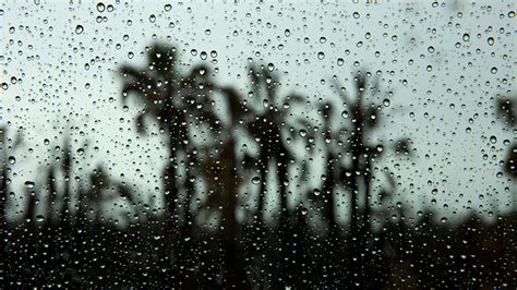 rainy season southwest florida    rain  rainy season begins