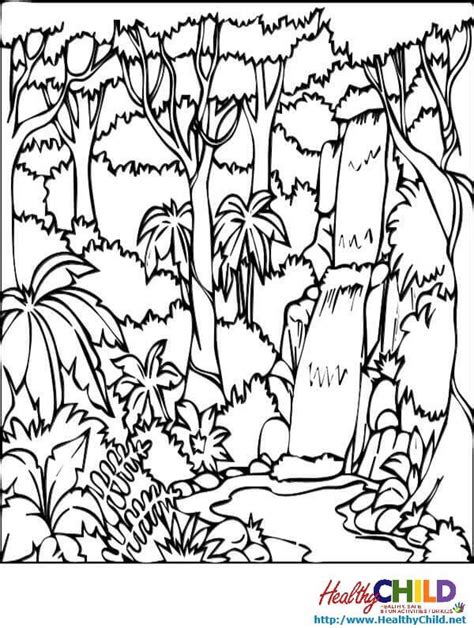 jungle coloring pages forest coloring pages animal coloring pages