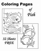 Coloring Fish Pages Sheets Printable Kids Worksheets Raisingourkids Animal Raising Fun sketch template