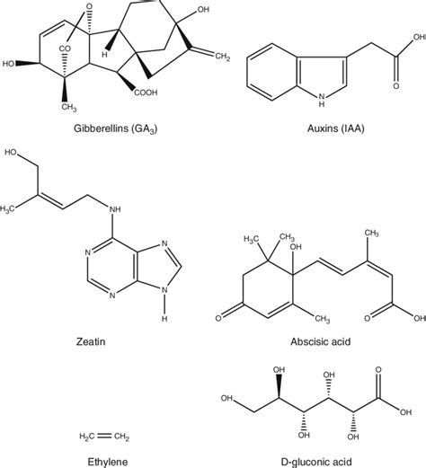 structures  important metabolites  play  role    scientific diagram