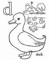 Coloring Pages Letter Duck Letters Color Learning Abc Kids Objects Numbers Printable Alphabet Years Sheets Farm Print sketch template