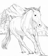 Coloring Horse Pages Paint American Printable sketch template