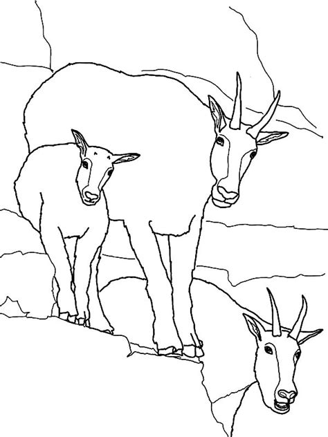 mountain goat family coloring pages color luna