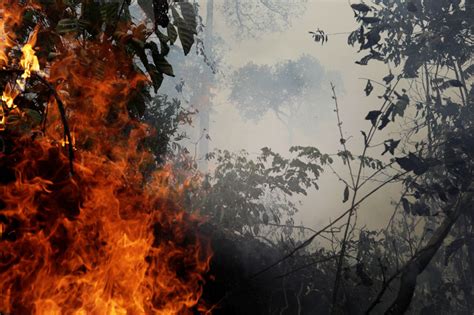 amazon wildfire  brazilian rainforest fire continues  blaze