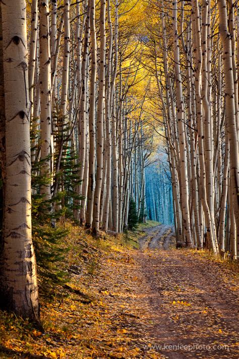 aspen cathedral  ken lee px