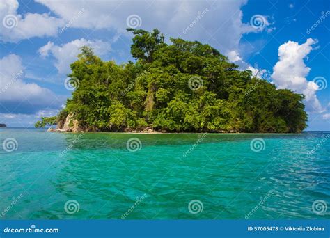 eiland stock foto image  landschap tropisch reis