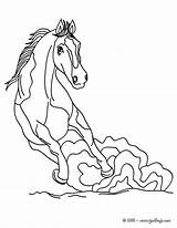 Pur Cavalo Hellokids Caballo Selvagem Coloriages Caballos Colorier sketch template