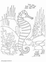 Sea Animals Coloring Pages Under Printable Print Ocean Seahorse Live sketch template
