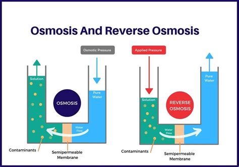 reverse osmosis process reverse osmosis process diagram  xxx hot girl