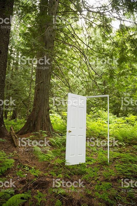 door   forest royalty  stock photo stock images  royalty  stock  forest