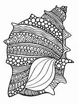 Mandalas Animales Seashell Zentangle Muscheln Ausdrucken Muschel Colorir Malvorlagen Malen Dibujo Feder Fichaslomahermosa Hippocampe Shell Schriften Desenhos Marinas Painting Example sketch template