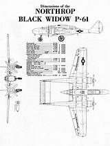 Widow Northrop Nfs 425th Conquering Hyperwar Aaf Eagles sketch template