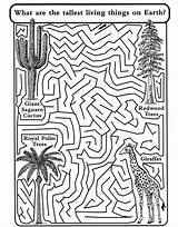 Maze Kids Nature Printable Mazes Publications Dover Welcome A4 Choose Board Activities sketch template