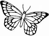 Mariposas Colorear Dibujosfaciles Mariposa Seguro Resistir sketch template