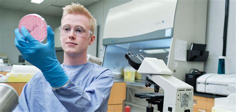 Medical Lab Technician Certification Programs Online