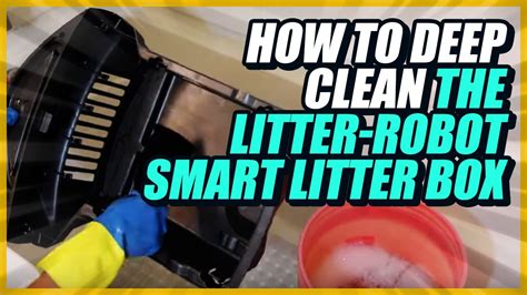 deep clean  litter robot smart litter box indoors youtube