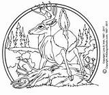 Wood Carving Pyrography Drawing Relief Step Burning Deer Drawings Pdf Wildlife Pattern Chip Lsirish Irish Whittling Projects Pack Woodcarving Artdesignsstudio sketch template