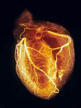 Physical Signs Of A Healthy Heart Photos