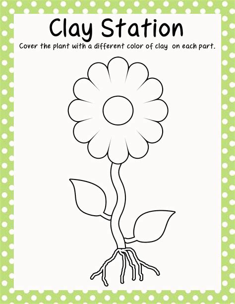 parts  plants coloring pages