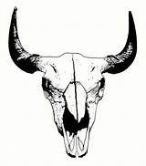 Skull Drawing Buffalo Bull Outline Drawings Sketch Clipart Bison Tattoo Skulls Clip Digital Skul Designs Paintingvalley Choose Board sketch template