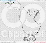 Flapping Gosling Wings Retro Line Drawing Its Vintage Royalty Clipart Vector Cartoon Picsburg sketch template
